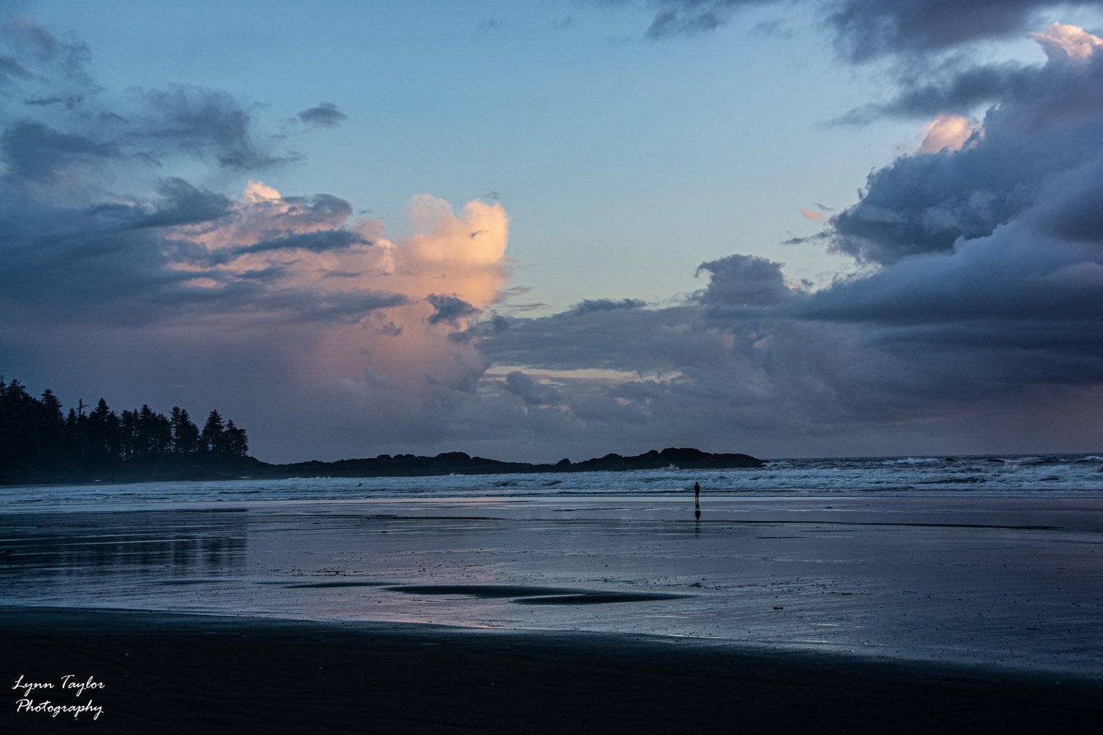 Moody Weather Collection
